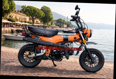 SKYTEAM  SKYMAX 125-6 E5+ 12zoll SPECIAL-EDITION Matt-Orange 