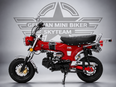 SKYTEAM  SKYMAX 125-6 CLUB-S E5+ INJECTION de LUXE METALLIC-RED Sitz in Schwarz