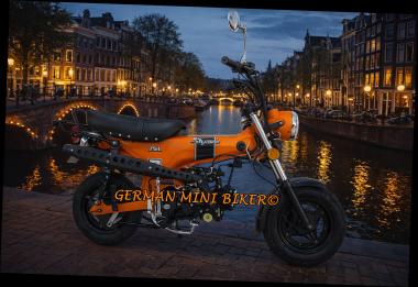 SKYTEAM - SKYMAX 50 Matt-Orange E5 CLUB-S Injektion Mofa 25 km/h Zulassung