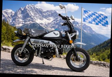 SkyTeam SKYMINI 50 E5 10" Special-Edition-Injektion Matt-Black-Edition de Luxe 