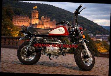 SkyTeam SKYMINI 50 E5 10" Special-Edition-Injektion Metallic-Red-Edition de Luxe 