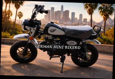 SKYTEAM SKYMINI 125-8 E5+ CLUB-S INJECTION de Luxe BLACK 