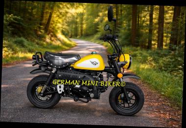 SKYTEAM SKYMINI 125-8 E5+ CLUB-S INJECTION de LUXE YELLOW 