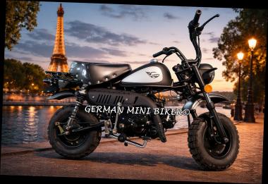 SkyTeam SKYMINI 50 E5 CLUB-Injektion Matt-Black-Edition de Luxe 