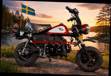 SkyTeam SKYMINI 50 E5 CLUB-Injektion Metallic-Red-Edition de Luxe 