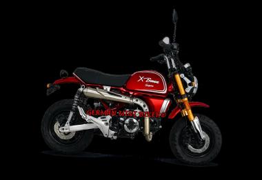 Skyteam - X-BONGO 125 ABS  E5+ SPECIAL-EDITION-COLOR 