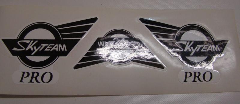 Artikelbild 1 des Artikels “Aufkleber Skyteam Le Mans PRO “
