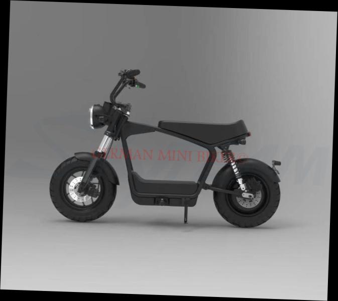 Artikelbild des Artikels “E-Mini 25 Black-Edition MOFA 25 km/h mit Klapplenker! “