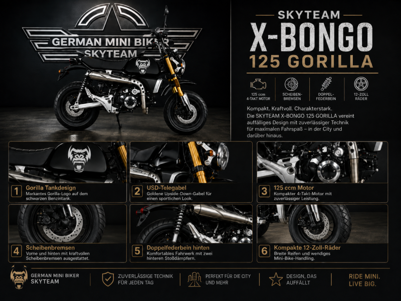 Artikelbild des Artikels “Skyteam - X-BONGO 125 ABS MATT-BLACK-GORILLA E5+ NEU 2026 “