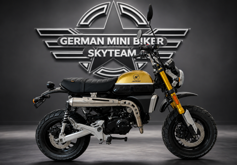 Artikelbild 3 des Artikels “Skyteam - X-BONGO 125 E5+ ABS GOLD/BLACK SPECIAL-EDITION-GOLD “