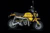 Artikelbild 4 des Artikels “Skyteam - X-BONGO 125 ABS  E5+ SPECIAL-EDITION-COLOR “