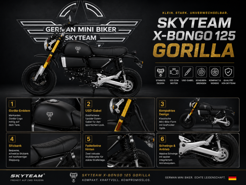 Artikelbild 4 des Artikels “Skyteam - X-BONGO 125 ABS MATT-BLACK-GORILLA E5+ NEU 2026 “