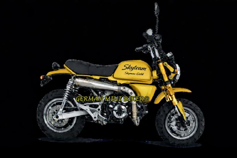 Artikelbild 4 des Artikels “Skyteam - X-BONGO 125 ABS  E5+ SPECIAL-EDITION-COLOR “
