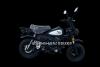 Artikelbild 6 des Artikels “SKYTEAM SKYMINI 125-8 E5+ Inj. 10zoll SPECIAL-EDITION “