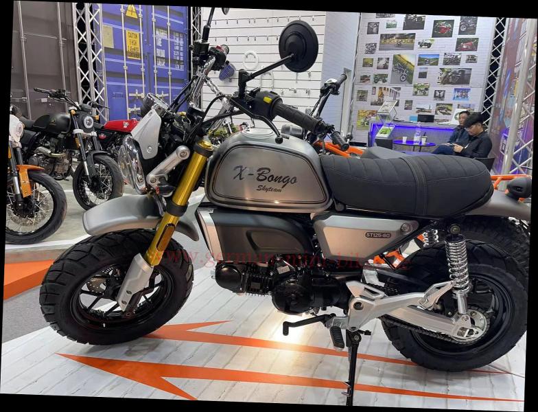 Artikelbild 6 des Artikels “Skyteam - X-BONGO 125 ABS MATT-TITAN E5+  MODELL 2026 “