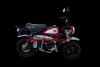 Artikelbild 8 des Artikels “SKYTEAM SKYMINI 125-8 E5+ Inj. 10zoll SPECIAL-EDITION “