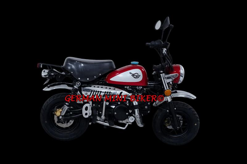Artikelbild 8 des Artikels “SKYTEAM SKYMINI 125-8 E5+ Inj. 10zoll SPECIAL-EDITION “