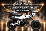 SKYTEAM - SKYMAX 50 E5 10zoll SPECIAL-EDITION 