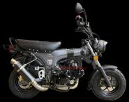 Auspuff V2A-Carbon-Style BS1019 untenliegend Skymax & Le Mans 