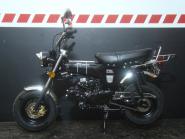 SKYTEAM  SKYMAX 125-6 CLUB-S E5 INJECTION de LUXE METALLIC-BLACK -ANGEBOT DES MONATS- 