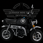 SkyTeam SKYBONGO 50 E5 10zoll Club-Inj. Matt-Black-Liberator de Luxe 