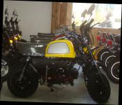 SKYTEAM SKYBONGO 50 E5 CLUB-Injektion Yellow-Edition de Luxe 