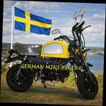 SKYTEAM SKYBONGO 50 E5 CLUB-Injektion Yellow-Edition de Luxe 