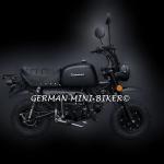SKYTEAM SKYBONGO 50 E5 CLUB-Injektion Matt-Black-Edition de Luxe 