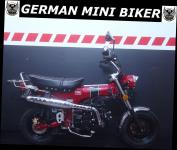 SKYTEAM  SKYMAX 125-6 CLUB-S E5 INJ. MET.-RED Auslaufmodell 