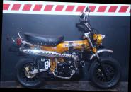 SKYTEAM  SKYMAX 125-6 E5+ 12zoll SPECIAL-EDITION Metallic-Gold 