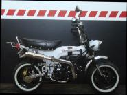 SKYTEAM  SKYMAX 125-6 PRO INJECTION SUPERMAX 