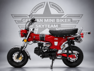 SKYTEAM  SKYMAX 125-6 CLUB-S E5+ INJECTION de LUXE METALLIC-RED Sitz in Schwarz