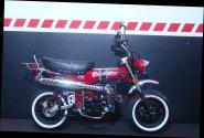 SKYTEAM  SKYMAX 125-6 E5+ 12zoll SPECIAL-EDITION Metallic-Rot 