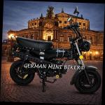 SKYTEAM - SKYMAX 50 Black E5 CLUB-S Injektion Sitz in Schwarz/Weiß