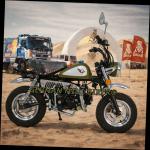 SkyTeam SKYMINI 50 E5 10zoll SE Matt-Army-Green 