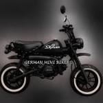 SKYTEAM SKYMINI 125-8 E5+ Inj. 12zoll SPECIAL-EDITION 