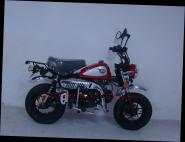 SKYTEAM SKYMINI 125-8 E5+ CLUB-S INJECTION de LUXE METALLIC-RED-EDITION 