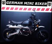 SKYTEAM  SKYMINI 125 PRO e-Carb "SUPERMAX" Metallic-Rot