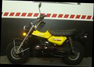 T-REX 125 E5 CLUB-INJECTION Yellow 