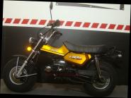 T-REX 125 E5 CLUB-INJECTION GOLD 