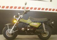 T-REX 125 E5 CLUB-INJ. Matt-ARMY-GREEN -AUSLAUFMODELL- 