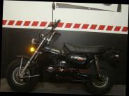 T-REX 125 E5 CLUB-INJECTION Black 