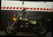 T-REX 125 E5 CLUB-INJECTION METALLIC-GREEN 