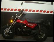 T-REX 125 E5 CLUB-INJECTION METALLIC-ROT 