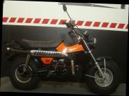 T-REX 125 E5 CLUB-INJECTION SHINE-ORANGE 