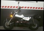 T-REX 125 E5 CLUB-INJECTION SILVER 