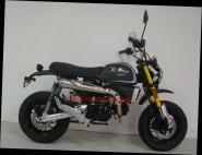 Skyteam - X-BONGO 50 MATT-BLACK E5+ NEUHEIT 2026 