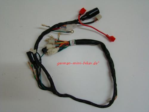Artikelbild des Artikels “Kabelbaum 125cc Skymax 5.5 Liter Euro 0-3 ohne Reserveanzeige, ohne Tagfahrlicht “