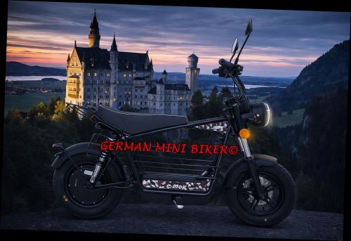 Artikelbild des Artikels “E-Mini 25 Black-Edition MOFA 25 km/h mit Klapplenker! “