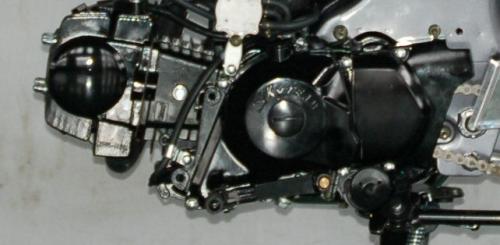 Artikelbild des Artikels “NEUER Original Skyteam Motor 125 EU4  BLACK mit PRIMÄRKUPPLUNG! “